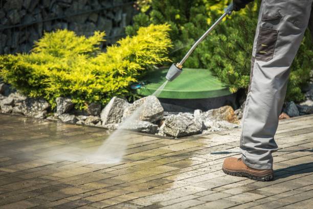 Best Sidewalk and Walkway Cleaning  in Spring Hill, FL